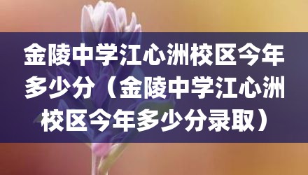 金陵中学江心洲校区今年多少分（金陵中学江心洲校区今年多少分录取）