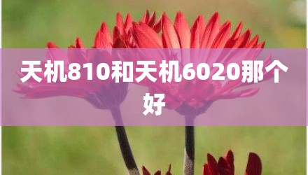 天机810和天机6020那个好