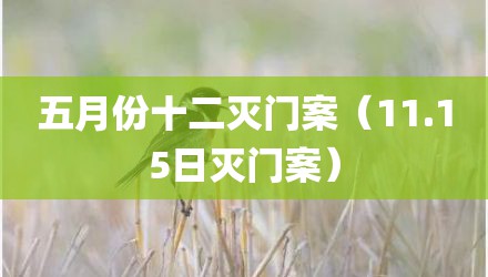 五月份十二灭门案（11.15日灭门案）