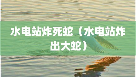 水电站炸死蛇（水电站炸出大蛇）