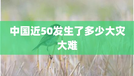 中国近50发生了多少大灾大难