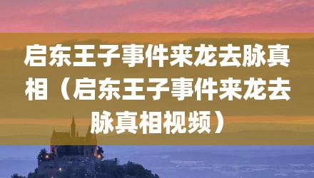 启东王子事件来龙去脉真相（启东王子事件来龙去脉真相视频）