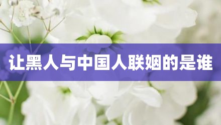 让黑人与中国人联姻的是谁