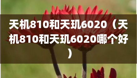 天机810和天玑6020（天机810和天玑6020哪个好）