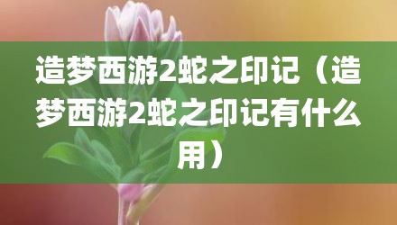 造梦西游2蛇之印记（造梦西游2蛇之印记有什么用）