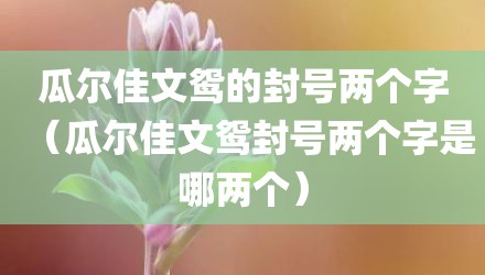 瓜尔佳文鸳的封号两个字（瓜尔佳文鸳封号两个字是哪两个）