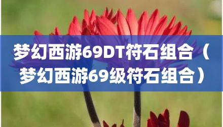 梦幻西游69DT符石组合（梦幻西游69级符石组合）