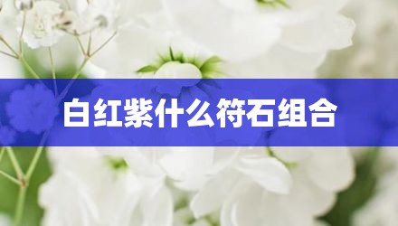 白红紫什么符石组合