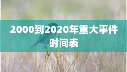 2000到2020年重大事件时间表