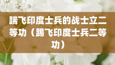 踹飞印度士兵的战士立二等功（踢飞印度士兵二等功）