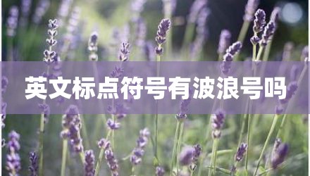 英文标点符号有波浪号吗