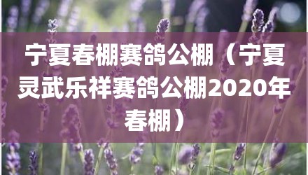 宁夏春棚赛鸽公棚（宁夏灵武乐祥赛鸽公棚2020年春棚）