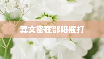 龚文密在邵阳被打