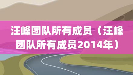 汪峰团队所有成员（汪峰团队所有成员2014年）