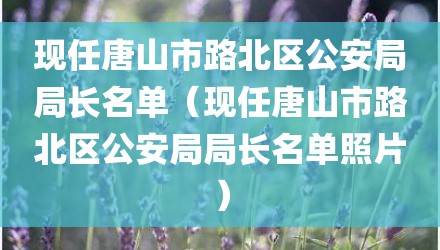 现任唐山市路北区公安局局长名单（现任唐山市路北区公安局局长名单照片）