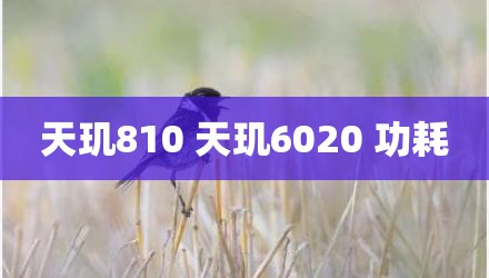 天玑810 天玑6020 功耗