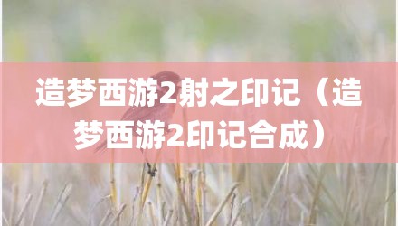 造梦西游2射之印记（造梦西游2印记合成）