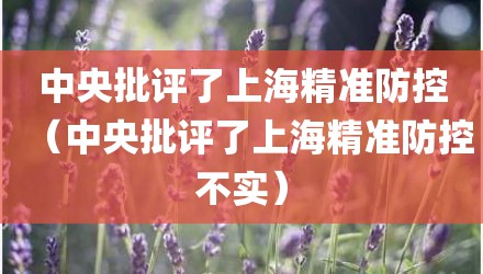 中央批评了上海精准防控（中央批评了上海精准防控不实）