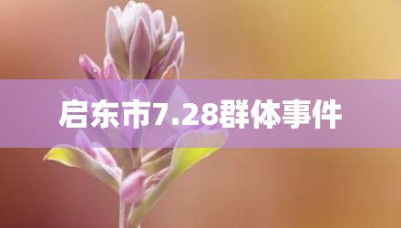 启东市7.28群体事件