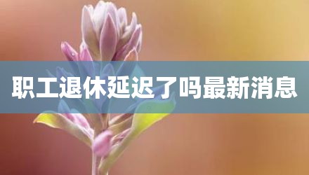 职工退休延迟了吗最新消息