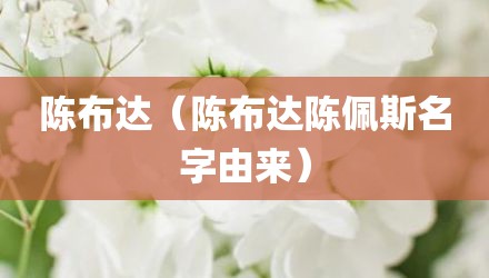 陈布达（陈布达陈佩斯名字由来）