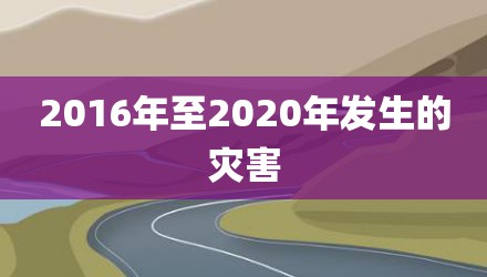 2016年至2020年发生的灾害