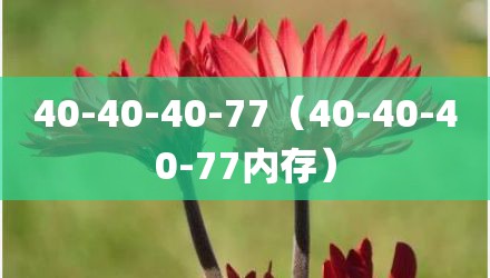 40-40-40-77（40-40-40-77内存）