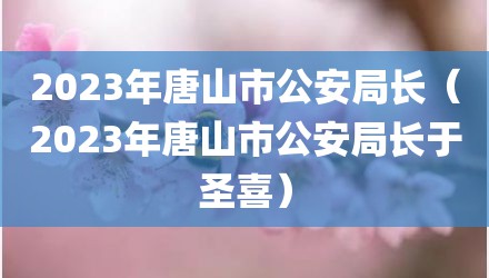 2023年唐山市公安局长（2023年唐山市公安局长于圣喜）