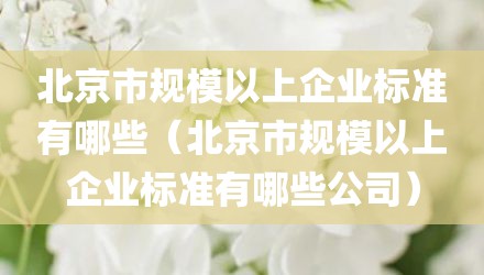 北京市规模以上企业标准有哪些（北京市规模以上企业标准有哪些公司）