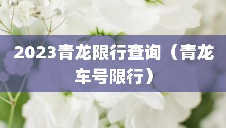 2023青龙限行查询（青龙车号限行）