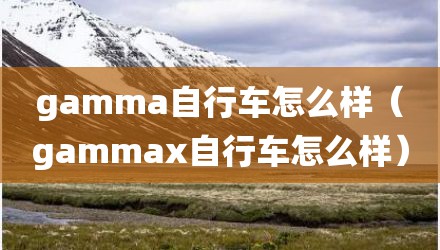 gamma自行车怎么样（gammax自行车怎么样）