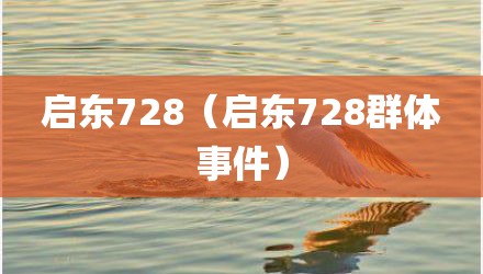 启东728（启东728群体事件）