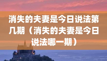 消失的夫妻是今日说法第几期（消失的夫妻是今日说法哪一期）