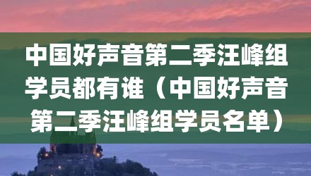 中国好声音第二季汪峰组学员都有谁（中国好声音第二季汪峰组学员名单）