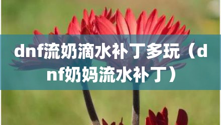 dnf流奶滴水补丁多玩（dnf奶妈流水补丁）