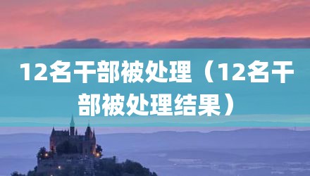 12名干部被处理（12名干部被处理结果）