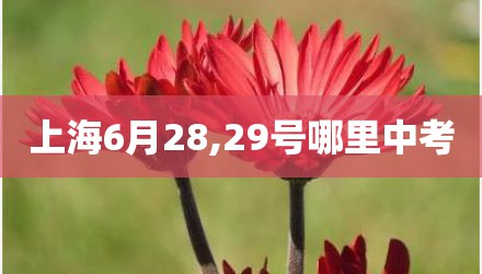 上海6月28,29号哪里中考