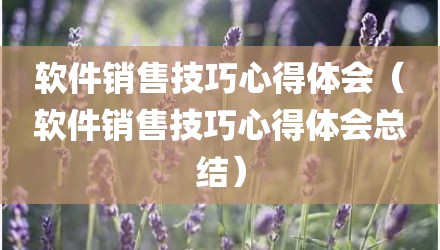 软件销售技巧心得体会（软件销售技巧心得体会总结）