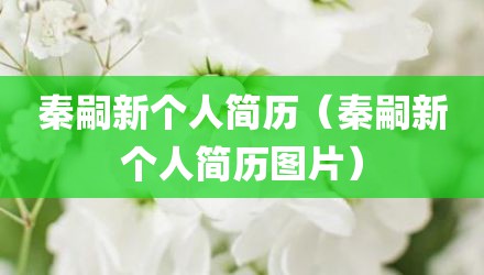 秦嗣新个人简历（秦嗣新个人简历图片）