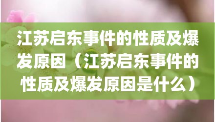 江苏启东事件的性质及爆发原因（江苏启东事件的性质及爆发原因是什么）