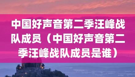 中国好声音第二季汪峰战队成员（中国好声音第二季汪峰战队成员是谁）