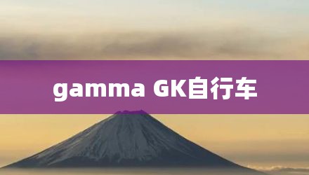 gamma GK自行车