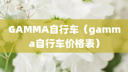 gamma自行车（gamma自行车价格表）