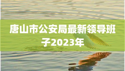 唐山市公安局最新领导班子2023年