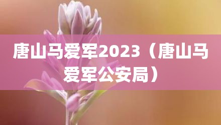 唐山马爱军2023（唐山马爱军公安局）