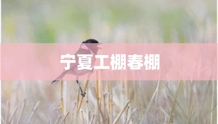 宁夏工棚春棚