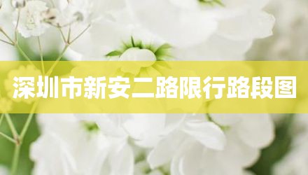 深圳市新安二路限行路段图