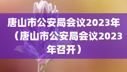 唐山市公安局会议2023年（唐山市公安局会议2023年召开）