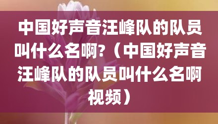 中国好声音汪峰队的队员叫什么名啊?（中国好声音汪峰队的队员叫什么名啊视频）