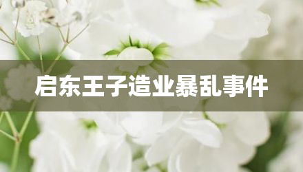 启东王子造业暴乱事件